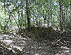 k11_36_thumb.png