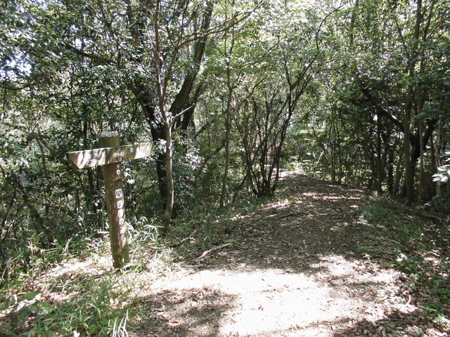 k11_38.jpg