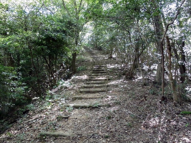 k11_39.jpg