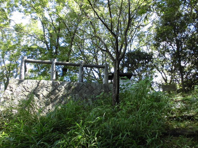 k11_40.jpg