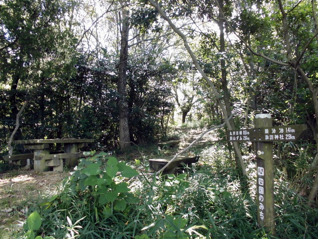 k11_42.jpg