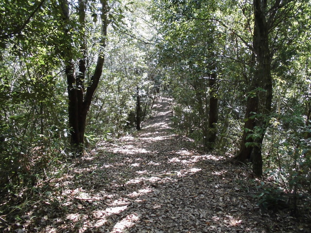 k11_44.jpg