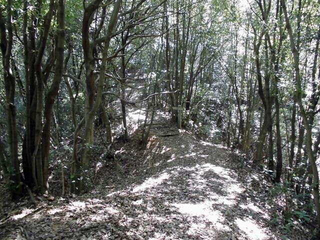 k11_46.jpg
