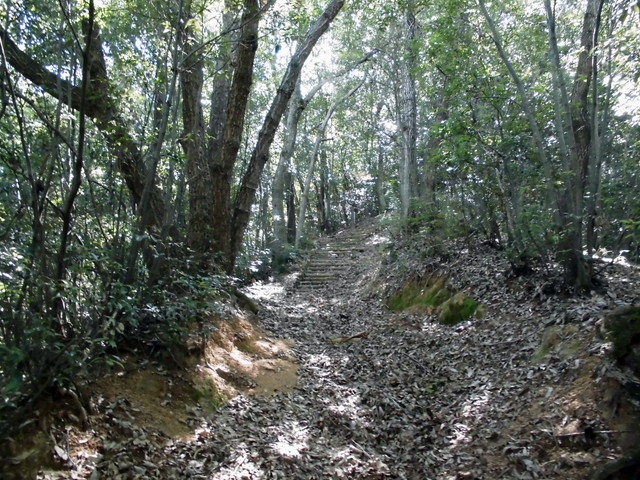 k11_47.jpg