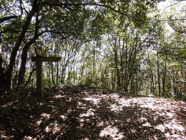 k11_49.jpg