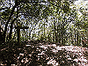 k11_49_thumb.png