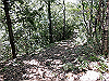 k11_51_thumb.png