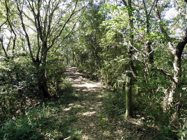 k11_52.jpg