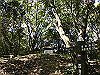 k11_54_thumb.png