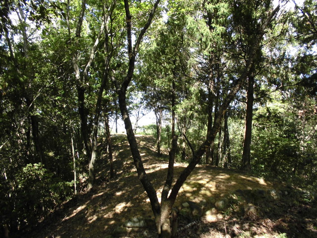 k11_56.jpg