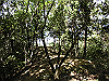 k11_56_thumb.png