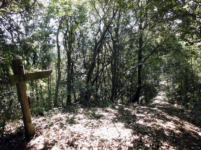 k11_59.jpg