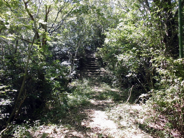 k11_60.jpg
