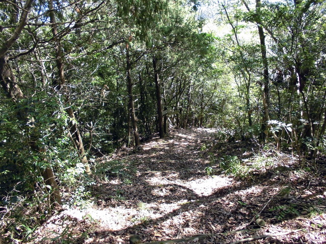 k11_61.jpg