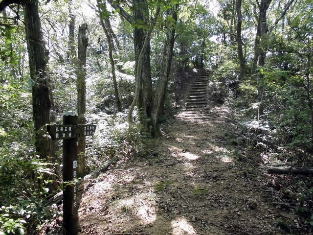 k11_62.jpg