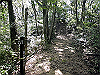k11_62_thumb.png