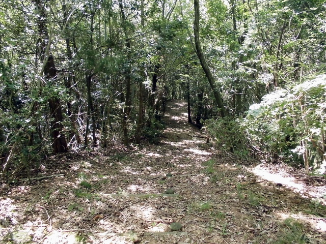 k11_63.jpg