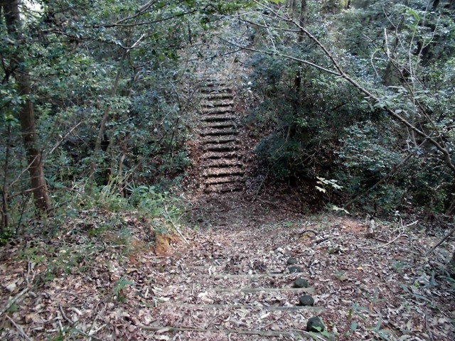 k11_64.jpg