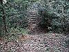 k11_64_thumb.png