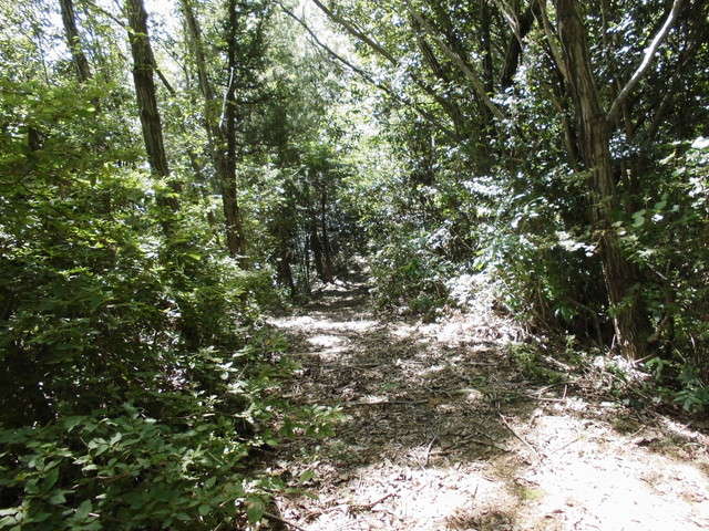k11_65.jpg