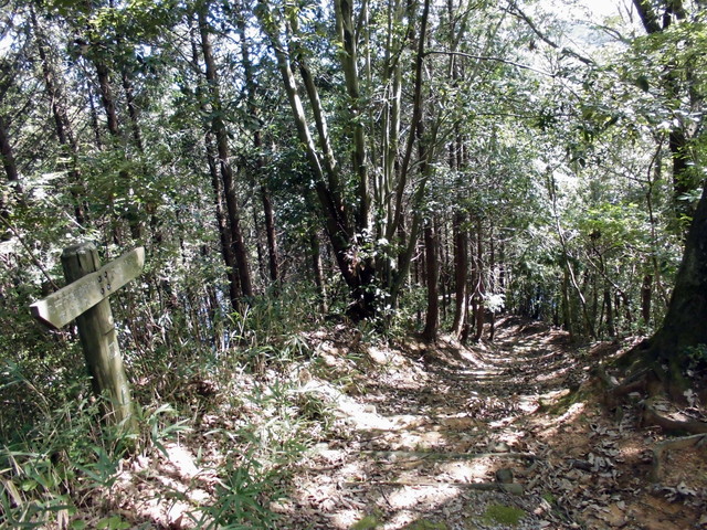k11_67.jpg