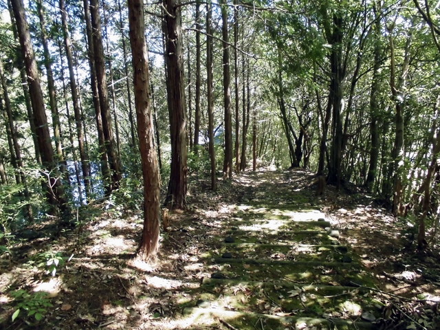 k11_68.jpg