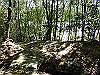k11_69_thumb.png
