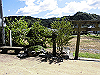 k11_73_thumb.png