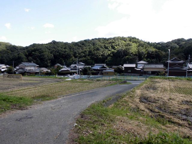 k11_75.jpg