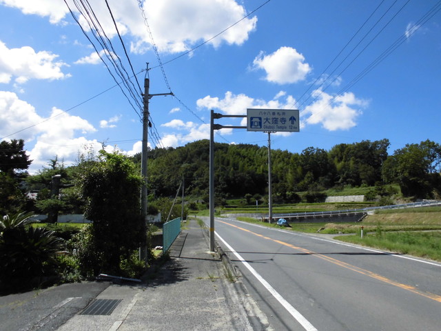 k11_78.jpg