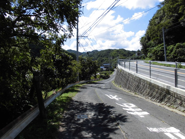 k11_81.jpg