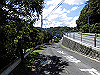 k11_81_thumb.png