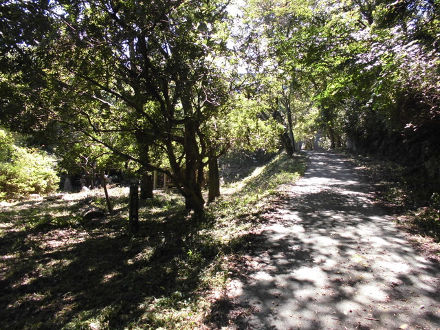 k11_84.jpg