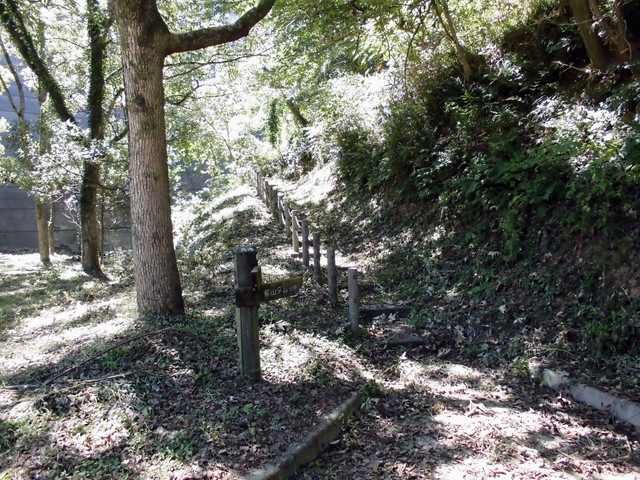 k11_86.jpg