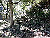 k11_86_thumb.png