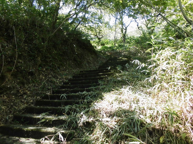 k11_88.jpg