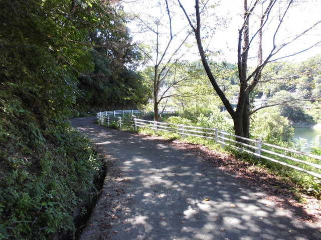 k12_004.jpg