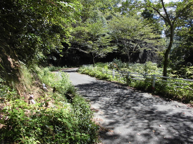 k12_007.jpg