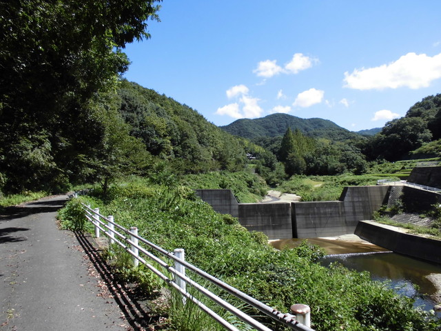k12_010.jpg