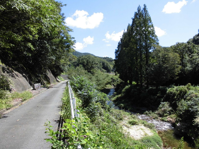 k12_011.jpg