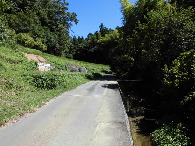 k12_012.jpg