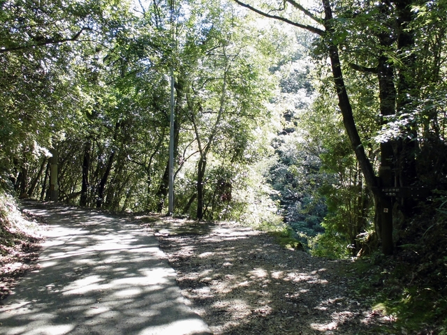 k12_016.jpg