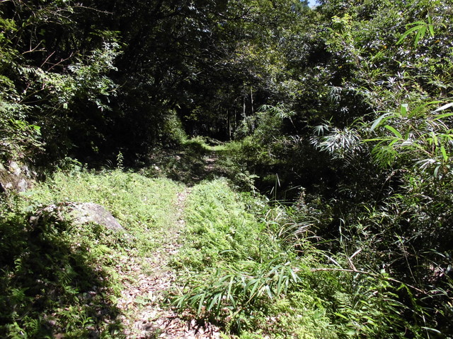 k12_017.jpg
