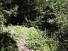 k12_017_thumb.png