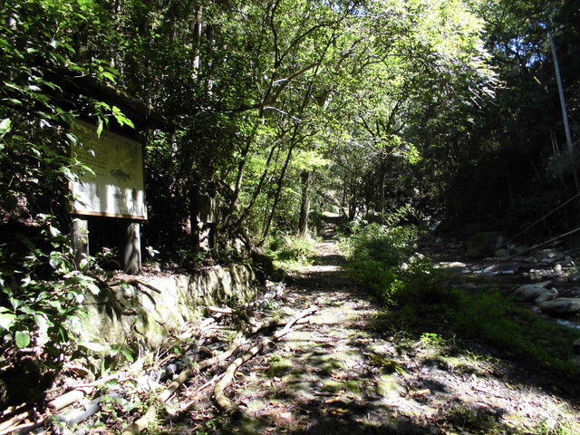 k12_019.jpg