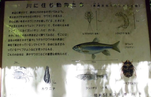 k12_020.jpg