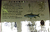 k12_020_thumb.png