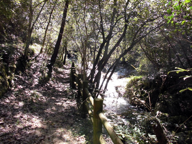 k12_021.jpg