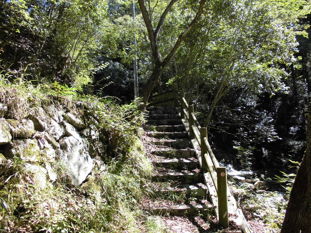 k12_022.jpg