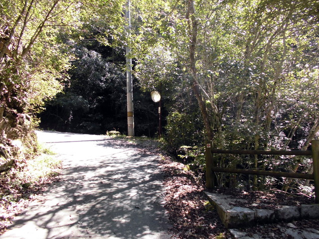 k12_023.jpg